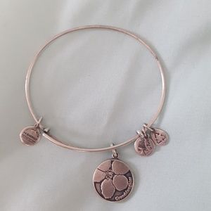 Alex & Ani original style silver Granddaughter
